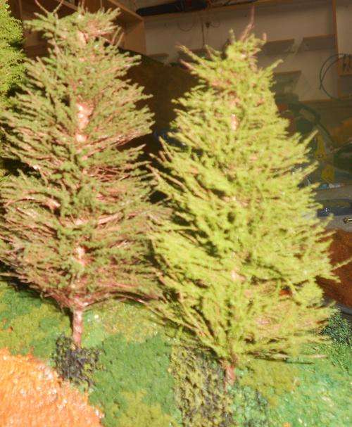 HO gauge pine trees 10X