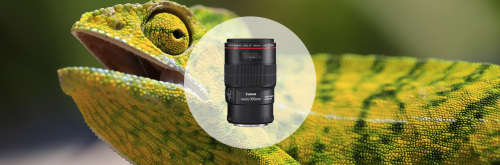 Canon EF 100mm f2.8L IS USM Macro Lens