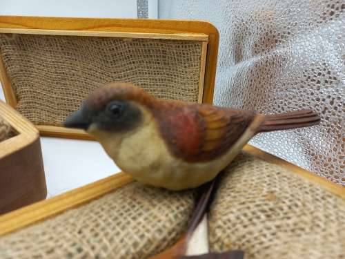 Feathers friend wooden colectable ornaments (set of 2 )
