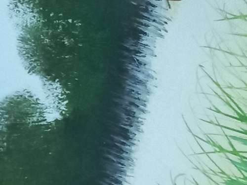 Canvas painting by original artist