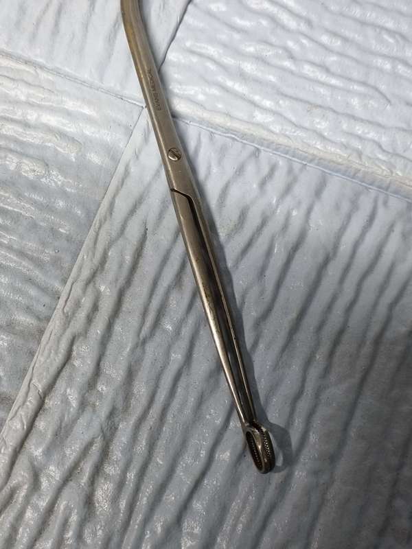 Medical related scissors ( lot of 10 )
