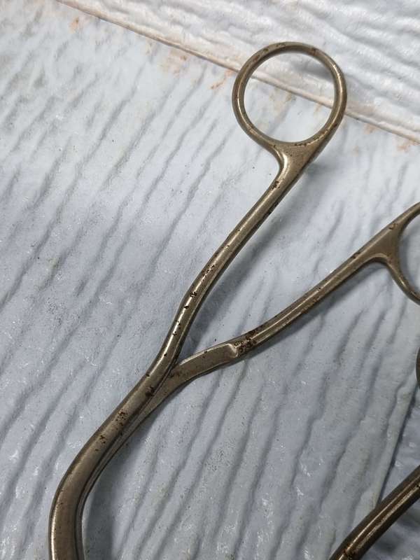 Medical related scissors ( lot of 10 )
