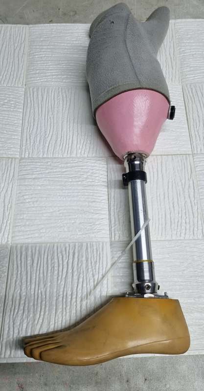 PROSTHETIC LEG