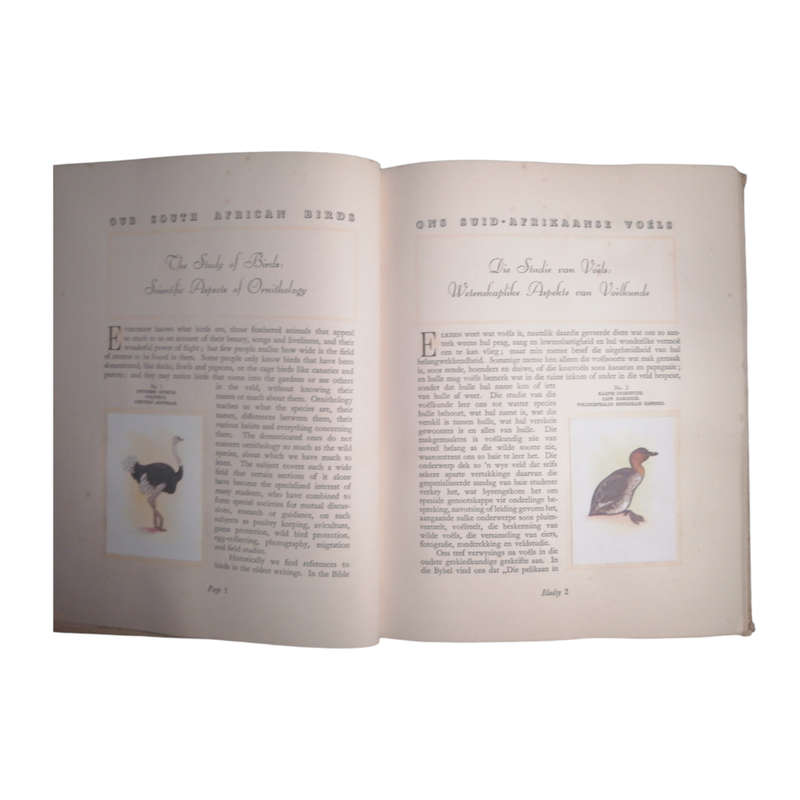 1941 Our South Birds by Austin Roberts Hardcover w/o Dustjacket
