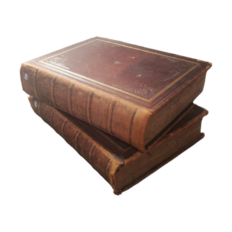1899-1905 A Standard Dictionary Of The English Language Volume 1 and 2 Hardcover w/o Dustjacket