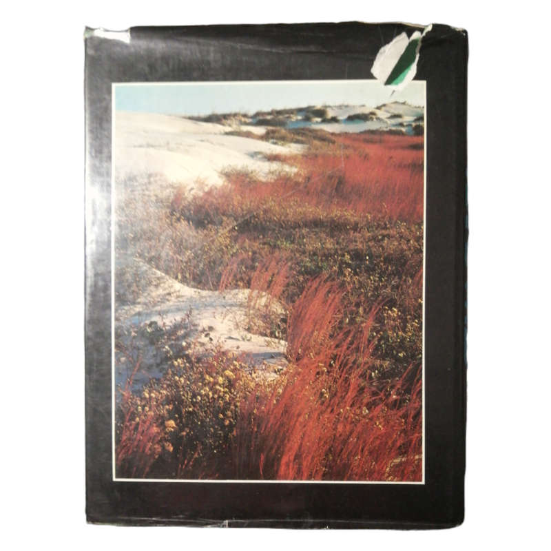 Texas Wild by Richard Phelan 1976 Hardcover w/Dustjacket