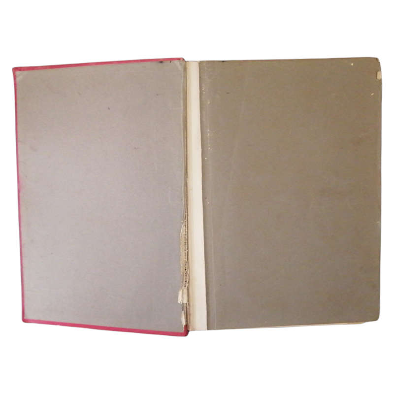 The Household Physician Volume 1 by J. M`Gregor-Robertson 1908 Hardcover w/o Dustjacket