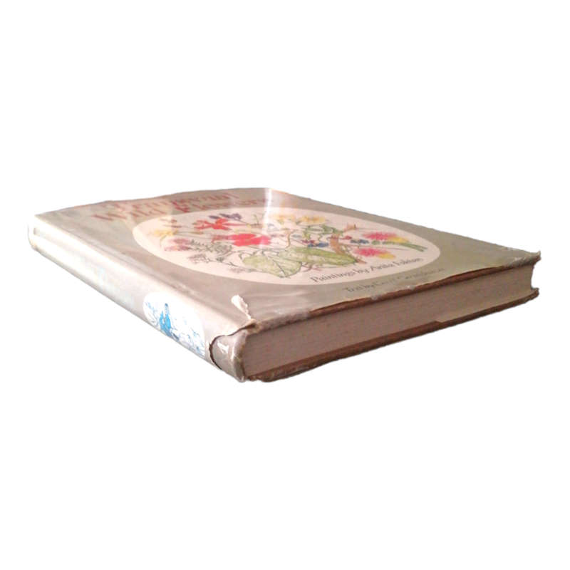 Transvaal Wild Flowers by Gerrit Germishuizen 1982 Hardcover w/Dustjacket