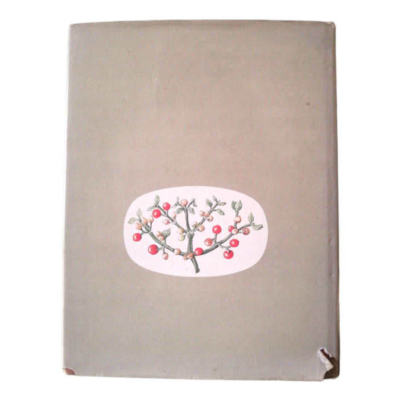 Transvaal Wild Flowers by Gerrit Germishuizen 1982 Hardcover w/Dustjacket