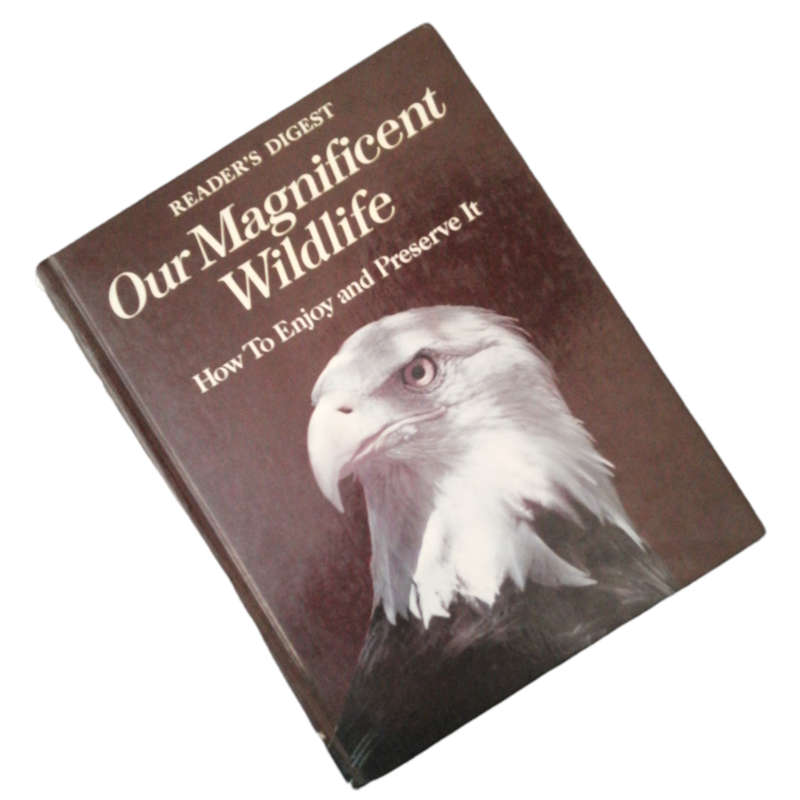 Reader`s Digest Our Magnificent Wildlife- How To Enjoy And Preserve It 1975 Hardcover w/o Dustjacket