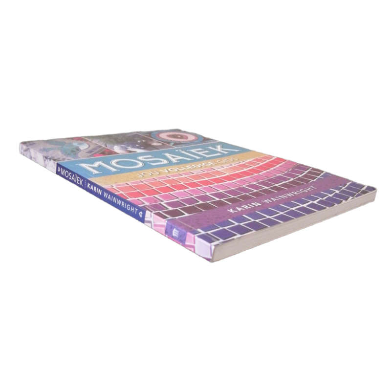 Mosaiek- Jou Volledige Gids by Karin Wainwright 2013 Softcover