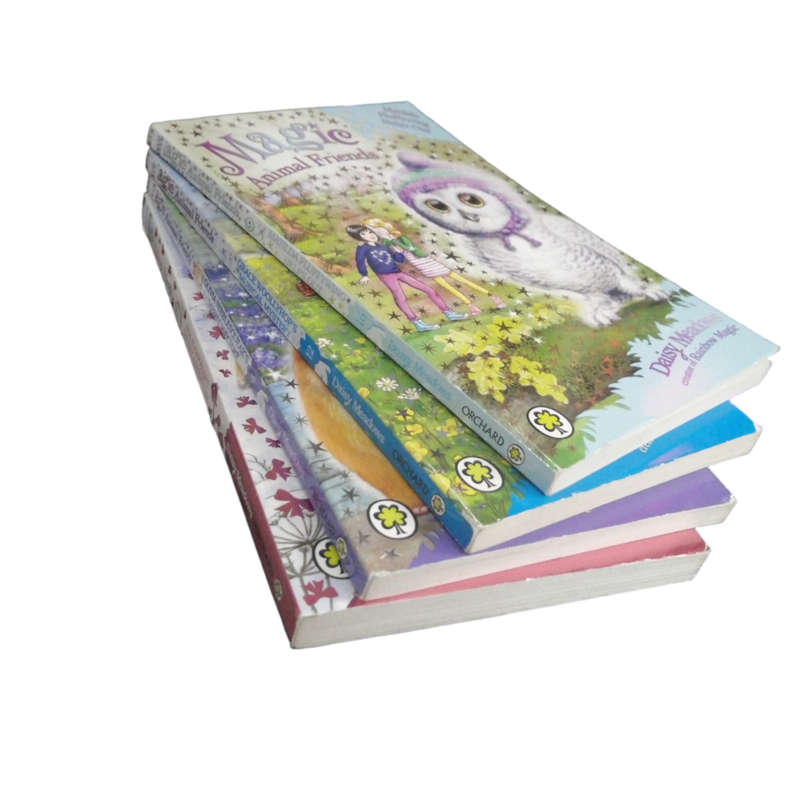 Magic Animal Friends 4 Book Set by Daisy Meadows Softcover