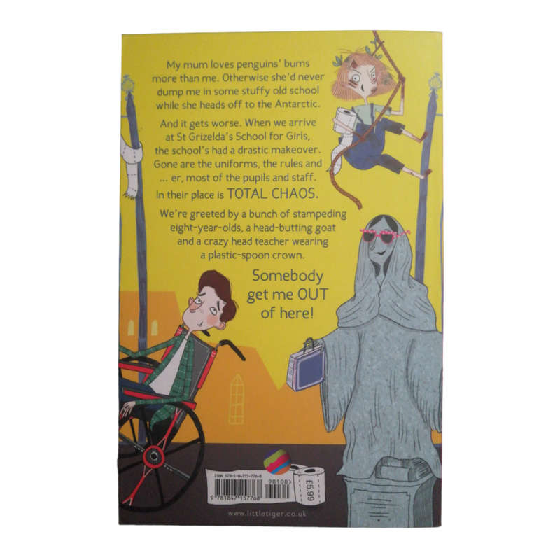 St Grizzle`s School For Girls Book 1 and 4 Set by Karen McCombie Softcover