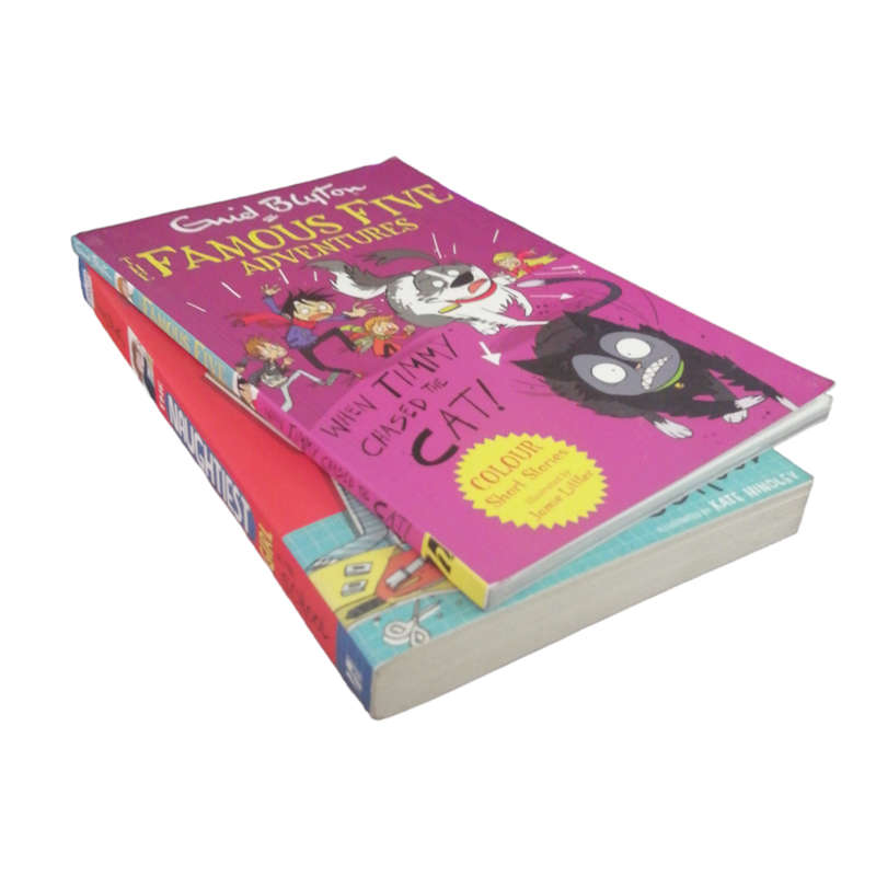 2014 2 Enid Blyton Books Set Softcover