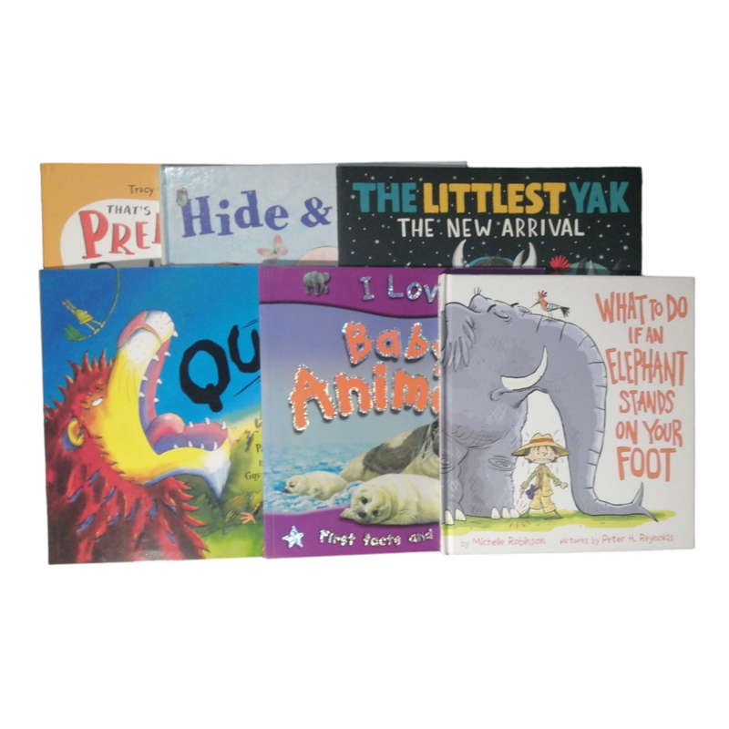 6 Book Set- Fiction Books