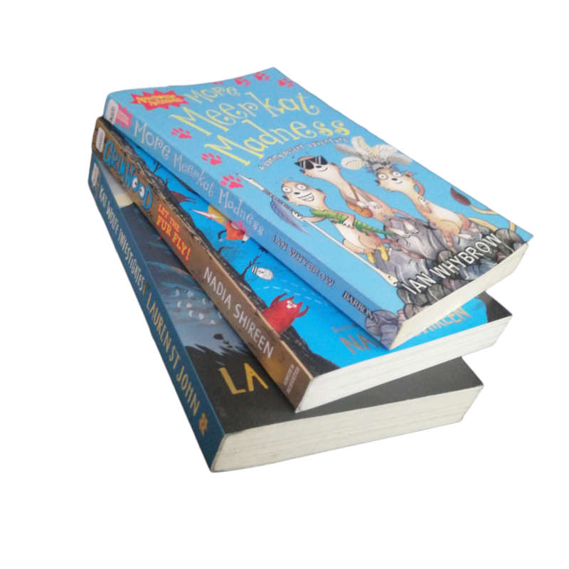 3 Book Set- Fiction Books