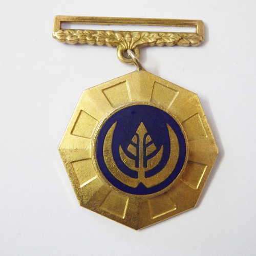 SADF Pro Patria medal - Old type