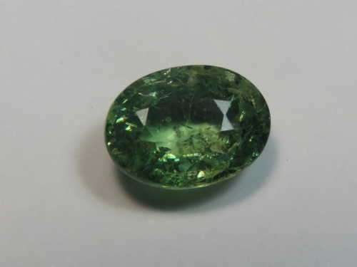 1.4ct Garnet - Yellow green