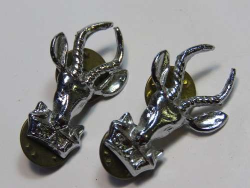 Pair of SA Infantry collar badges