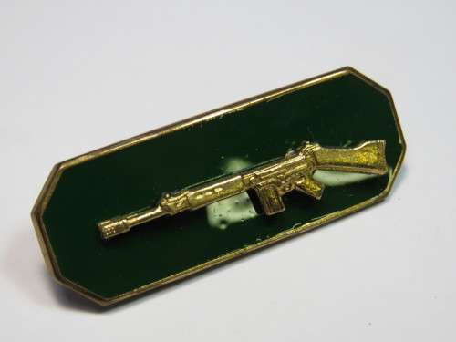 SA Prison service Marksman shooting breast badge