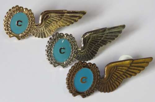 Set of 3 SA Air Force Chef wings breast badges - Gold, silver and bronze types