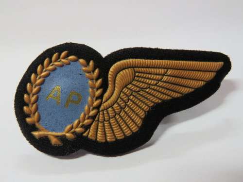 SA Air Force Air Photographer tupper wing - Bronze type