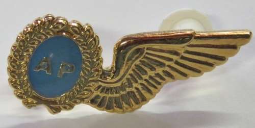 SA Air Force Air Photographer mess dress wing breast badge - Gold type