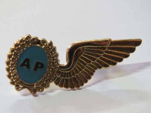 SA Air Force Air photographer wing breast badge