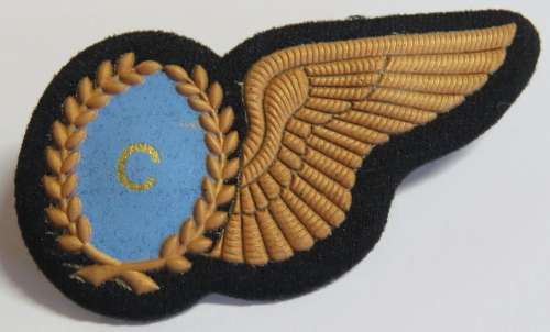 SA Air Force Chef tupper wing - Bronze type