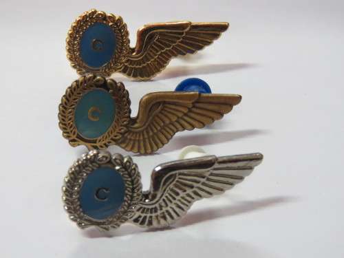 Set of 3 SA Air Force Chef mess dress wings - Gold, Silver and bronze type