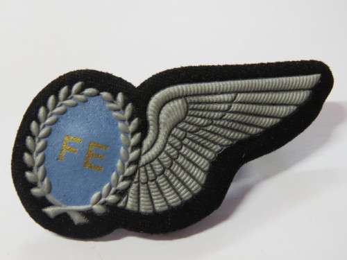 SA Air Force Flight Engineer tupper wing - Silver type