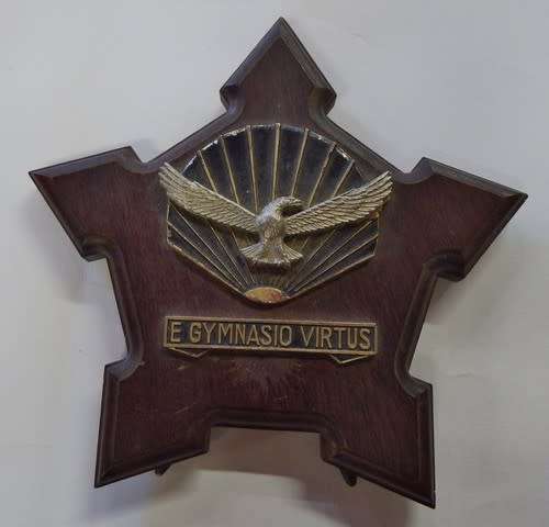 SA Air Force Gymnasium plaque