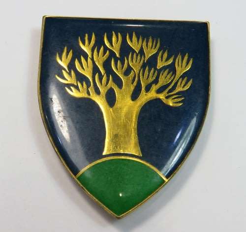 SWA Keetmanshoop commando Area Force Unit shoulder flash