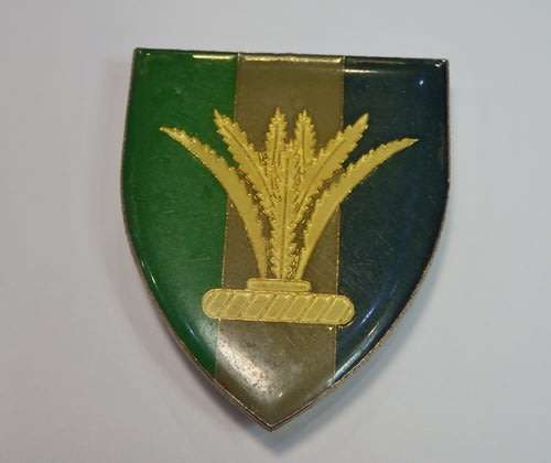 SWA Sector 10 signals squadron shoulder flash