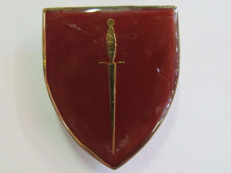 Transkei Special Forces  shoulder flash
