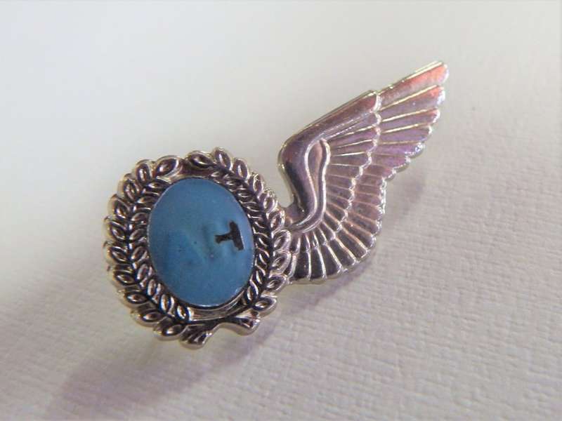SA Air force air hostess mess dress wing - Silver type - Poor quality