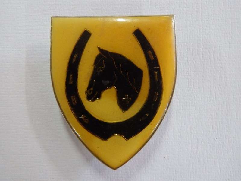SADF Equestrian centre shoulder flash