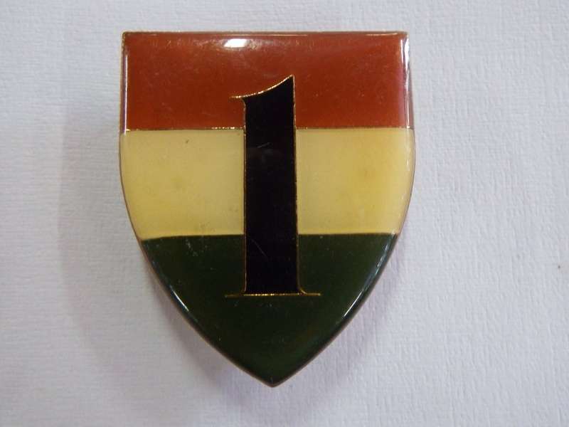 1 Battalion Transkei Defence Force shoulder flash