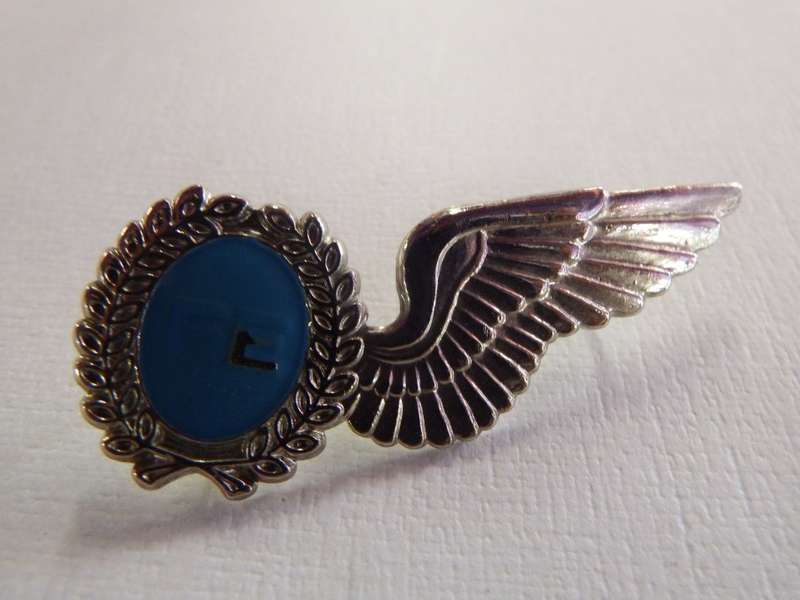 SA Air Force flight engineer wing - Silver type - Poor quality