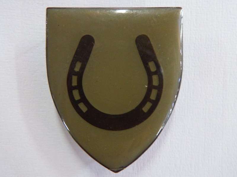 Transkei Equestrian centre shoulder flash