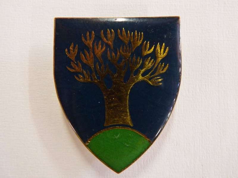 SWA Keetmanshoop commando area force unit shoulder flash