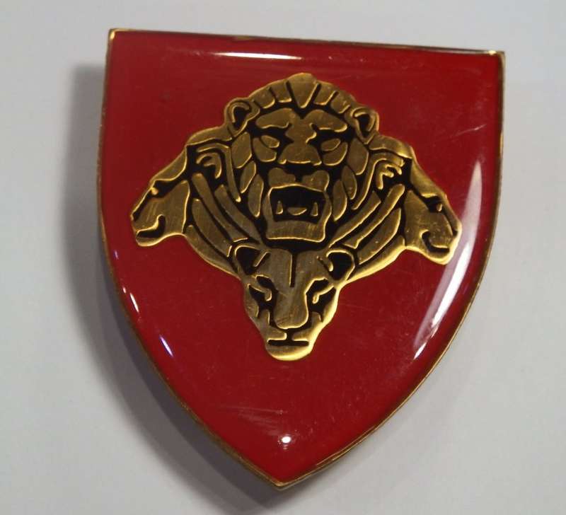 SANDF Pride of the Lions shoulder flash