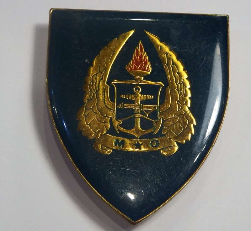 SADF Military Gymnasium shoulder flash