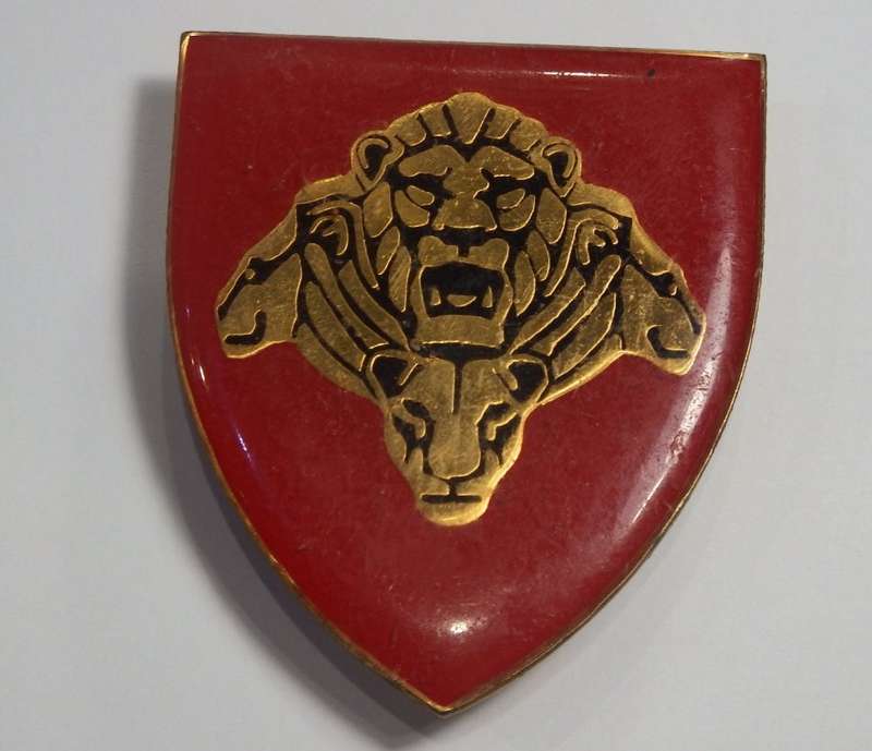 SANDF Pride of the Lions shoulder flash