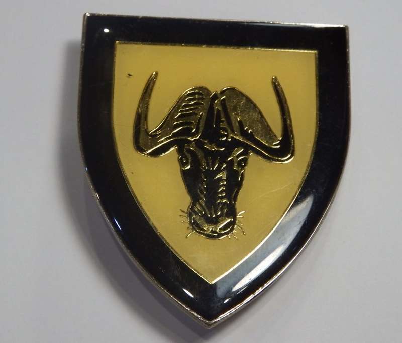 SADF Regiment Port Natal shoulder flash - 2 Pins