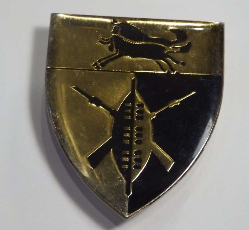 SADF Group 10 HQ shoulder flash