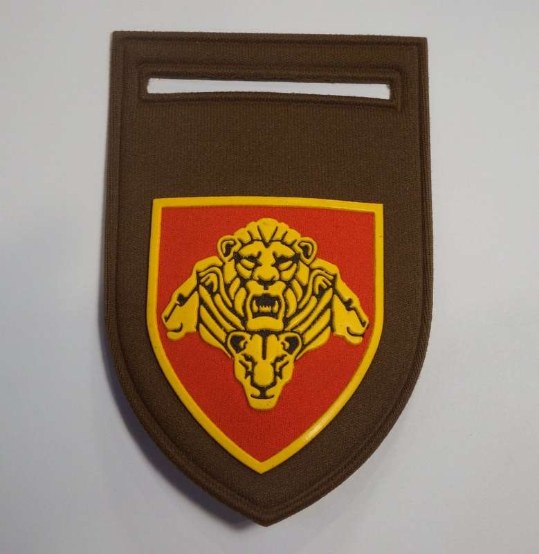 SANDF Pride of the Lions tupperware flash