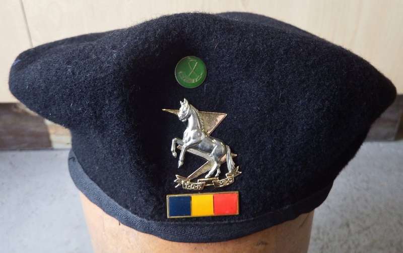 SADF Technical service corps beret with OFS command button badge - Size 58