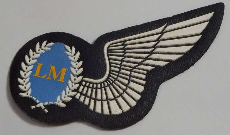 SA Air Force Load Master tupperware wing - No pin type