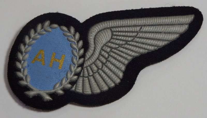 SA Air Force Air Hostess tupperware wing - No pin type